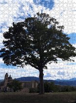 Puzzel volwassenen | Puzzel natuur | Puzzel 500 stukjes |Puzzel boom | Puzzel landschap (staand)