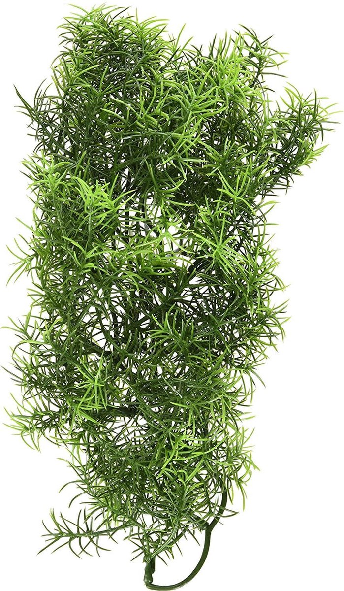ZooMed - Naturalistic Flora - Cashuarina - decoratie - Medium