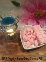 Mademoiselle - Onze waxmelts zijn geïnspireerd door bekende parfumgeuren - Waxmelts – Geurchips - Wax Melts - Snap Bar – Waxmelts parfum geuren - Reep