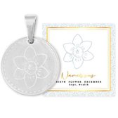 Ketting Birth Flower - Zilverkleurig - 55 cm - December - Narcissus