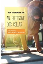 How To Properly Use An Electronic Dog Collar- Dog Training With The Aid Of Technology