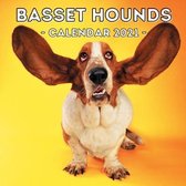 Basset Hounds