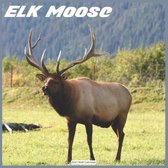 ELK Moose 2021 Wall Calendar