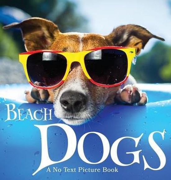 Foto: Soothing picture books for the heart and soul beach dogs a no text picture book