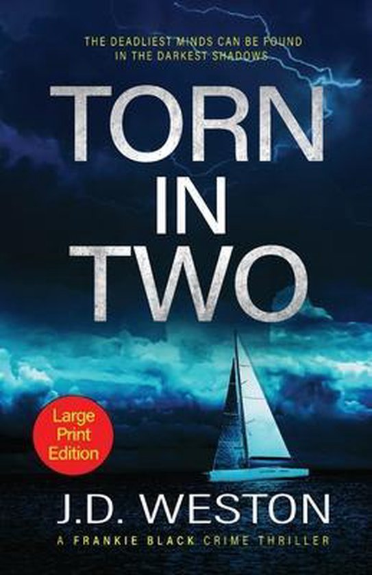 The Frankie Black Files- Torn In Two - cover