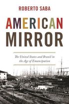 America in the World58- American Mirror