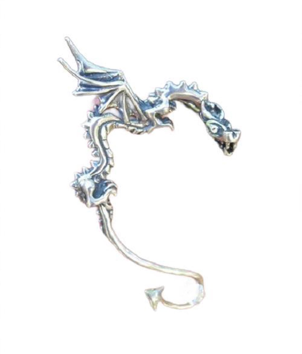 925 Zilver Oorringen - Druppel - Zilver – AllOver