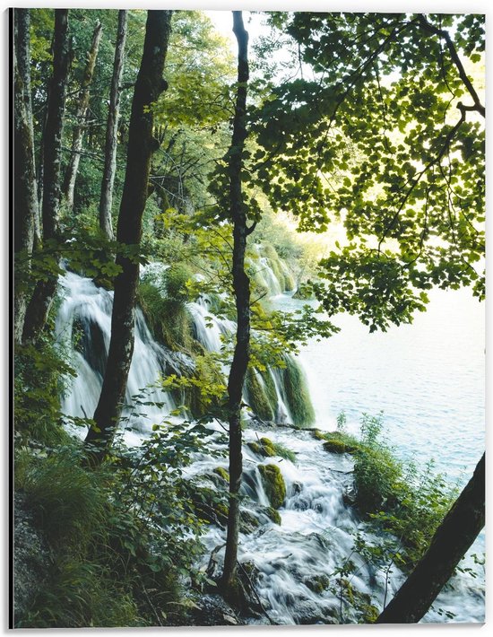 Dibond - Watervallen in het Bos met Bomen - 30x40cm Foto op Aluminium (Met Ophangsysteem)