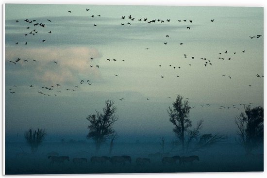 Forex - Vogels met Bomen en Wilde Paarden - 60x40cm Foto op Forex
