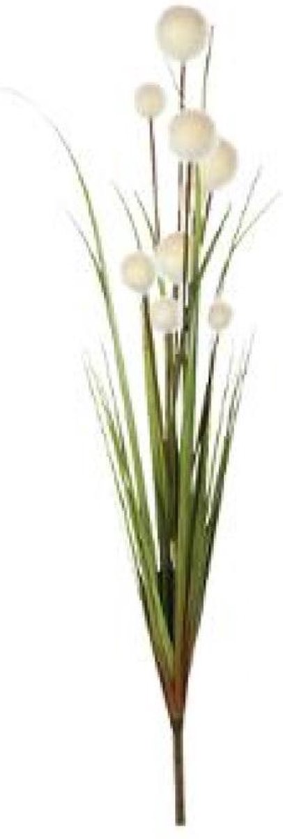 Decoratieve tak Rietgras - Decoratieve Tak Riet - Ivoor -  hoogte 91 cm