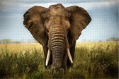 Olifant op de Afrikaanse Savanne - Natuur - Extra Moeilijke Legpuzzel 1500 stukjes
