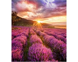 Samsung Smart LED Signage Indoor LED IF025HX 2.5mm pitch 192x216 pixels 1200 nits 1920-3840Hz