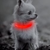 Oranje  LED halsband maat XS | honden halsband met verlichting | Licht in donker | 3 standen | verlichte hondenhalsband | LED hondenhalsband | LED hondenriem | LED hondenriem | Led