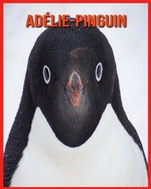 Adelie-Pinguin