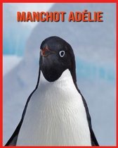 Manchot Adelie