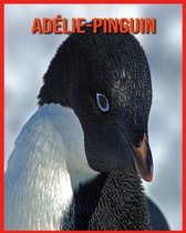 Adelie-Pinguin