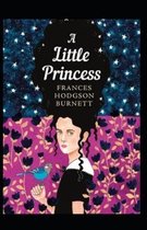 A Little Princess Illustrated