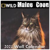 Maine Coon calendar 2021