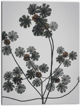 Dibond - Takken - Bloemen - Bladeren - 60x80 cm Foto op Aluminium (Wanddecoratie van metaal)
