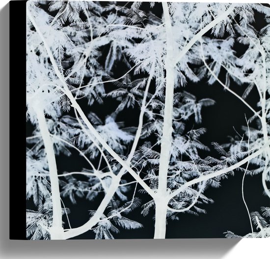 Canvas - Takken - Boom - Bladeren - Natuur - Zwart - Wit - 30x30 cm Foto op Canvas Schilderij (Wanddecoratie op Canvas)