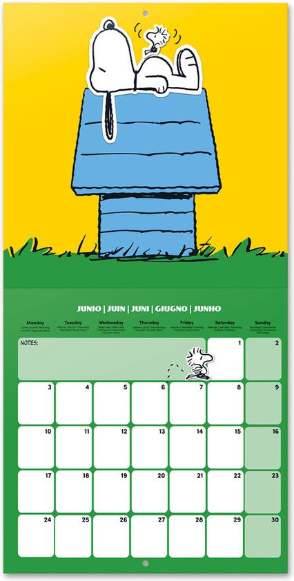 Acheter Snoopy - Peanuts Calendrier 2024 A3 ? Commander en ligne 