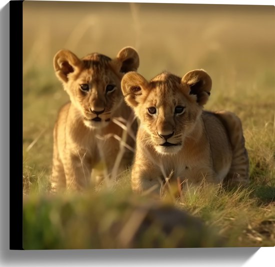 Canvas - Twee Aankijkende Leeuwenwelpjes in het Afrikaanse Landschap - 40x40 cm Foto op Canvas Schilderij (Wanddecoratie op Canvas)