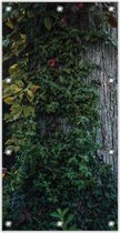 Tuinposter Boom Begroeid met Planten 100x200cm- Foto op Tuinposter (wanddecoratie voor binnen en buiten)