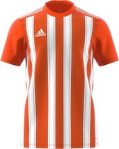 Adidas Striped 21 Shirt Korte Mouw Heren - Oranje / Wit | Maat: S