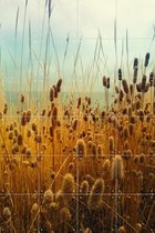 IXXI Golden Hours - Wanddecoratie - Fotografie - 80 x 120 cm