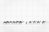 IXXI Camel Caravan - Wanddecoratie - Abstract - 180 x 120 cm
