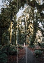 IXXI Rainforest - Wanddecoratie - Fotografie - 100 x 140 cm
