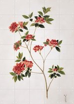 IXXI Plate 124 from the John Reeves Collection - Wanddecoratie - Bloemen en Planten - 100 x 140 cm