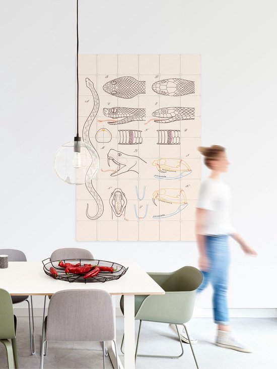 IXXI Serpent - Anatomie, Aster Edition - 100 x 140 cm - Gratis ophangtool - Grote wanddecoratie en posters - Technische Tekening, Illustraties, Line