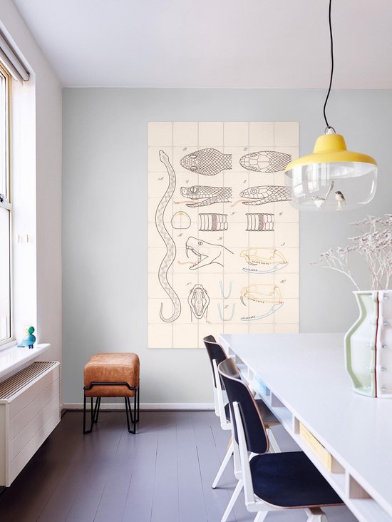 IXXI Serpent - Anatomie, Aster Edition - 100 x 140 cm - Gratis ophangtool - Grote wanddecoratie en posters - Technische Tekening, Illustraties, Line