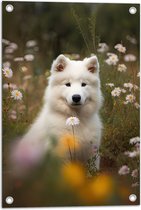 Tuinposter – Witte Samoyeed Hond tussen de Madeliefjes in het Veld - 40x60 cm Foto op Tuinposter (wanddecoratie voor buiten en binnen)