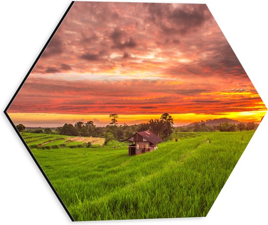 Dibond Hexagon - Zonsondergang bij de Thaise Rijstvelden - 30x26.1 cm Foto op Hexagon (Met Ophangsysteem)