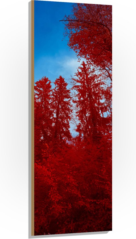 Hout - Onderaanzicht - Bomen - Rood - Lucht - 50x150 cm - 9 mm dik - Foto op Hout (Met Ophangsysteem)