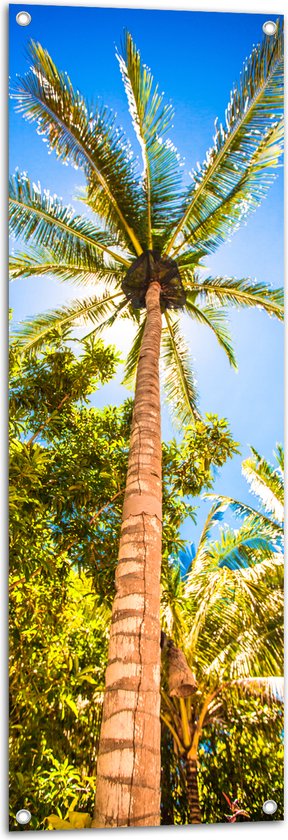 Tuinposter – Palmbomen Beschijnd door Zon - 40x120 cm Foto op Tuinposter (wanddecoratie voor buiten en binnen)