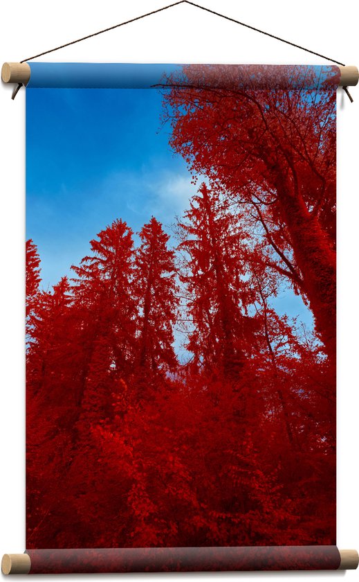 Textielposter - Onderaanzicht - Bomen - Rood - Lucht - 40x60 cm Foto op Textiel