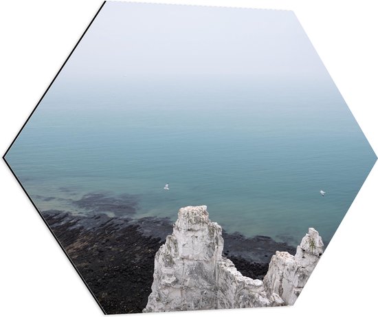 Dibond Hexagon - Oceaan - Zee - Rotsen - Dieren - Meeuwen - 70x60.9 cm Foto op Hexagon (Met Ophangsysteem)