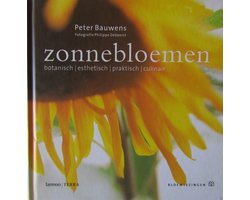 Zonnebloemen