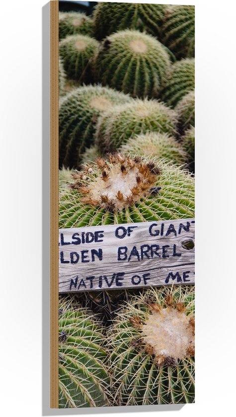Hout - Cactussen - Planten - Tekst - Bordje - Hout - Kleuren - 30x90 cm - 9 mm dik - Foto op Hout (Met Ophangsysteem)