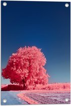 Tuinposter – Landschap - Boom - Weg - Planten - Zand - Roze - 40x60 cm Foto op Tuinposter (wanddecoratie voor buiten en binnen)