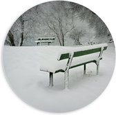 PVC Schuimplaat Muurcirkel - Bomen - Bossen - Bankjes - Sneeuw - 60x60 cm Foto op Muurcirkel (met ophangsysteem)