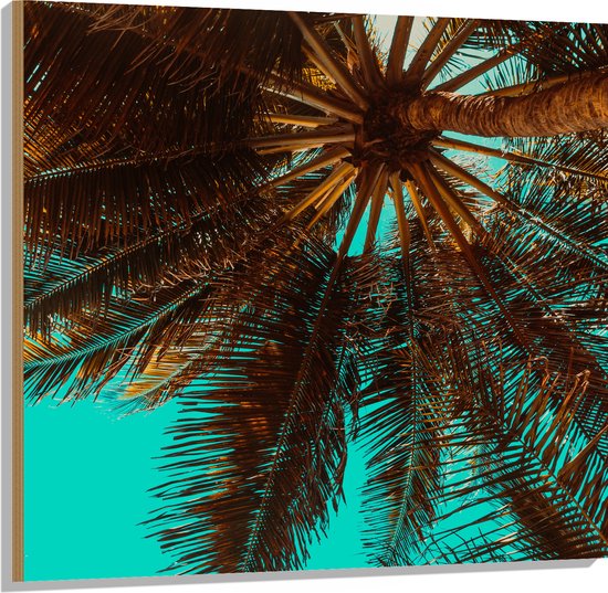 Hout - Bomen - Boomstam - Palmbomen - Bladeren - Tropisch - 100x100 cm - 9 mm dik - Foto op Hout (Met Ophangsysteem)