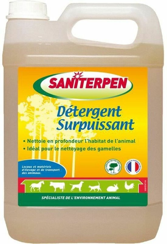 Disinfectant Saniterpen 5 L Deodorant