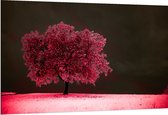 Dibond - Boom - Landschap - Roze - Bladeren - 150x100 cm Foto op Aluminium (Wanddecoratie van metaal)