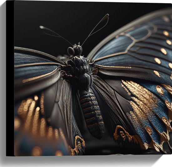Canvas - Vlinder met Zwarte Vleugels met Gouden Details - 40x40 cm Foto op Canvas Schilderij (Wanddecoratie op Canvas)