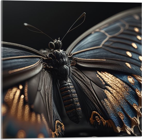 Acrylglas - Vlinder met Zwarte Vleugels met Gouden Details - 50x50 cm Foto op Acrylglas (Wanddecoratie op Acrylaat)