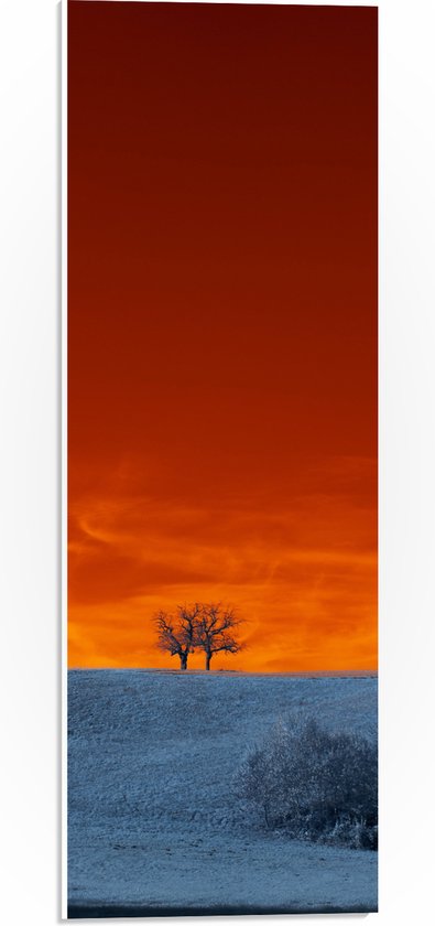 PVC Schuimplaat - Bomen - Landschap - Sneeuw - Oranje - Lucht - 20x60 cm Foto op PVC Schuimplaat (Met Ophangsysteem)